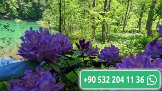 كوخ جميل جدا ولم يكن جميل الا بجمال صاحبة ولطفه واخلاقه